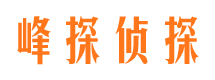 安县市私家侦探